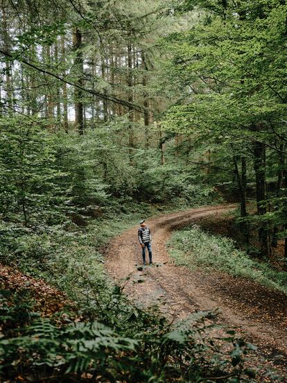 Wohlleben, en el bosque de hayas cerca de su casa en Hümmel (Alemania), que conoce como la palma de su mano.