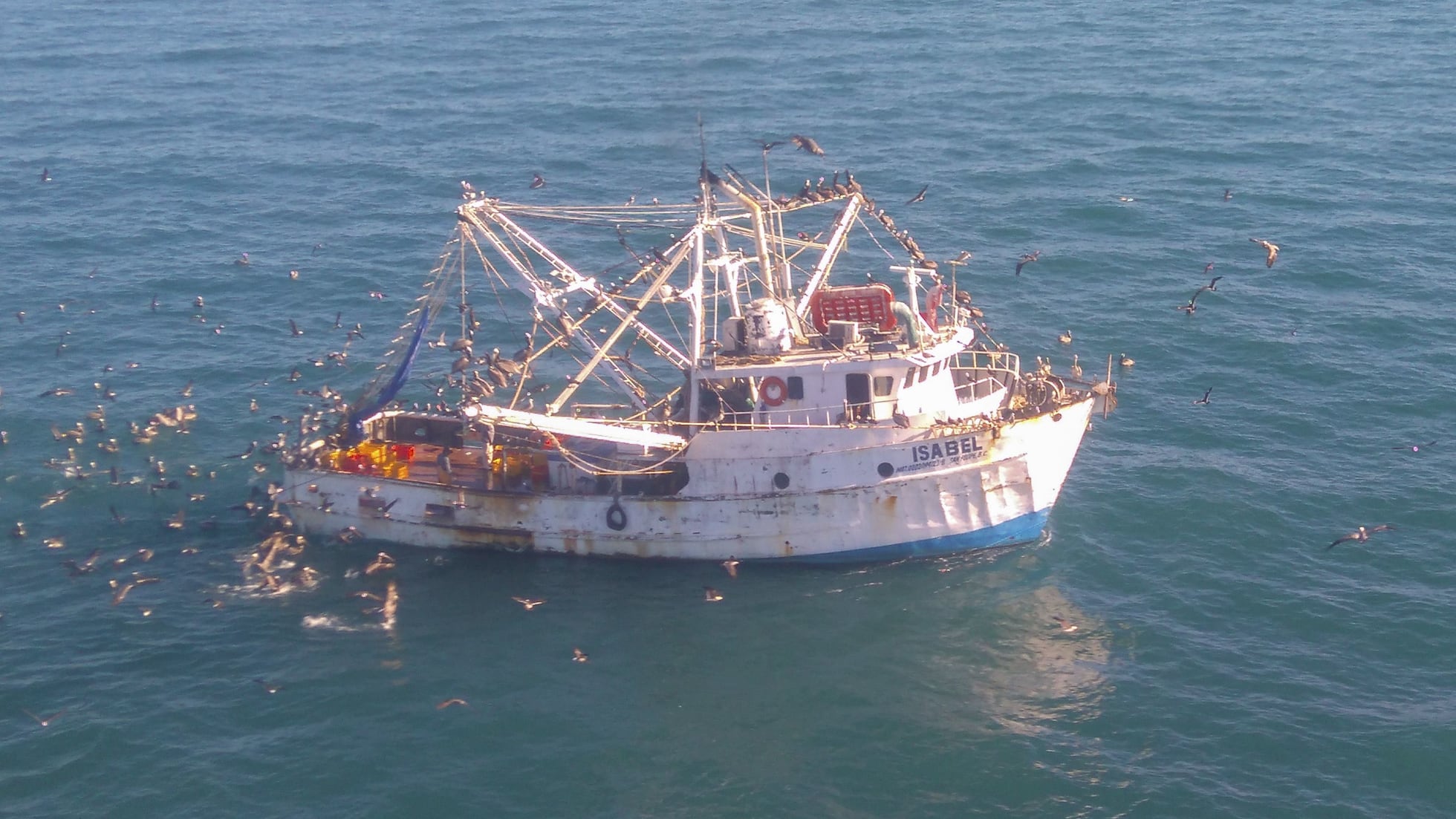 La vaquita marina, un nuevo frente abierto entre México y EE UU | EL PAÍS México
