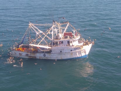 Un barco pesca en el área de refugio de la vaquita marina, en el golfo de California, en 2016.