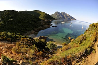 Ejemplo de monte bajo mediterráneo sobrevolado por gaviotas, cormoranes y águilas marinas, el Golfo de Porto -que incluye la cala de Piana, el golfo de Girolata y la reserva de Scandola- está ubicado al sur del parque natural regional de Córcega. Acantilados de roca negra alternados con vetas de granito rojo, islotes y grutas inaccesibles con aguas muy ricas en biodiversidad.