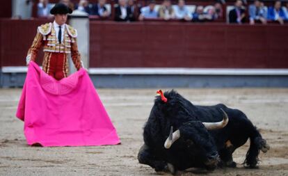 Daniel Luque contempla a uno de sus toros derrumbado en la arena.