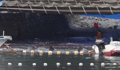 Un pescador pesca en aguas poco profundas de delfines y pequeños cetáceos a través de un método tradicional inventado en la localidad de Taiji, por el cual varias embarcaciones crean un muro de sonido que empuja a los ejemplares a la bahía en la que son seleccionados y luego arponeados.