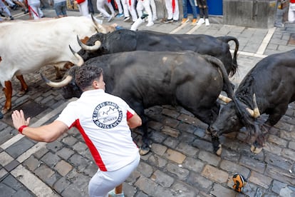 Los toros de la ganadería de Jandilla a su llegada a la curva de Mercaderes, este viernes durante el sexto encierro de San Fermín. 
