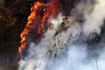 Por otra parte, unos 150 bomberos de las provincias del Guayas, El Oro, Los Ríos, Manabí y Santa Elena se desplazaron a la capital del país para apoyar a sus colegas de Quito en los trabajos para combatir los incendios.