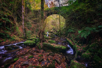 El parque natural de las Fragas del Eume, en Pontedeume (A Coruña).