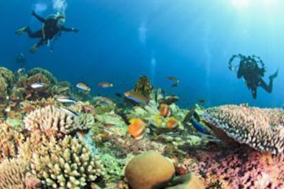 Dos submarinistas en la isla de Komodo, en Indonesia.