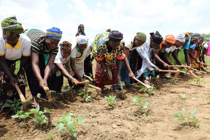 Mujeres agricultoras en Burkina Faso en octubre de 2019.