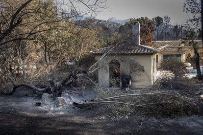 Viviendas ubicadas en las urbanizaciones Montepino y Montesol, afectadas por las llamas del incendio urbano forestal de Llutxent, en Gandía.