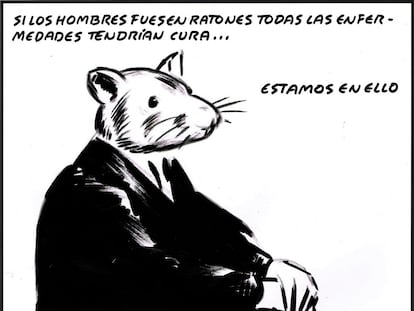 El Roto