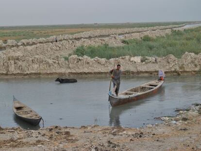 Un iraqu&iacute; cruza una marisma en el sur de Irak.
