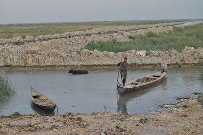 Un iraqu&iacute; cruza una marisma en el sur de Irak.