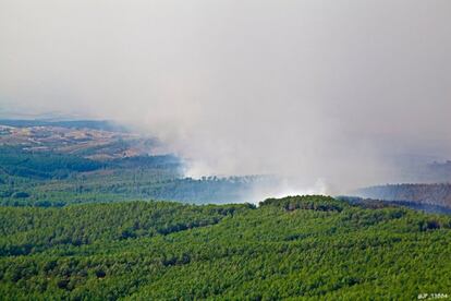 Vista de la cortina de humo del incendio que ha obligado a los servicios de emergencias a evacuar a 1.500 personas de las poblaciones de Acedo y Perales del Puerto, al norte de Extremadura.