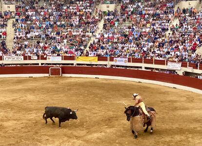 Un toro de José Escolar, en el tercio de varas.