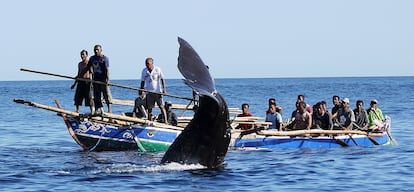 Una ballena se defiende de los arponeros lamarelanos en aguas de Indonesia.  © Doug Bock Clark.