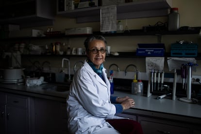 Nayat Saliba, at her office in the Center for the Conservation of Nature at the American University of Beirut.