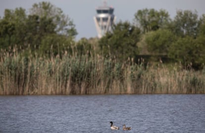 Parc Natural del Delta del Llobregat. 