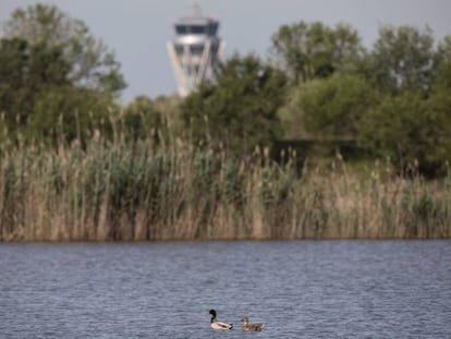 Parc Natural del Delta del Llobregat. 