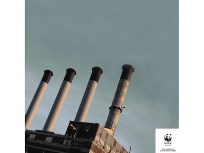 WWF