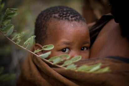 Niños como este, que es hijo de Tata, no han conocido la vida en el Kalahari. Los críos pueden ir a las escuelas de los asentamientos o a las que hay en los pueblos y ciudades de todo el país, pero en ellas no se imparte el idioma khoisan y tampoco aprenden nada sobre su cultura ancestral. Por eso, en vacaciones muchos acompañan a sus familiares a trabajar con los turistas, pues así ellos también aprenden.