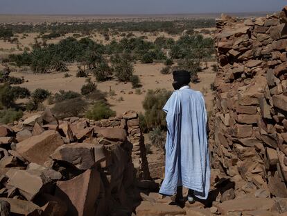 Palmeral a las afueras de Ouadane, Mauritania.