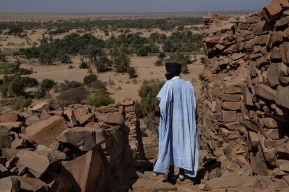 Palmeral a las afueras de Ouadane, Mauritania.