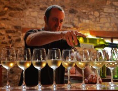 Fila de copas de vino en una cata de chacolí.