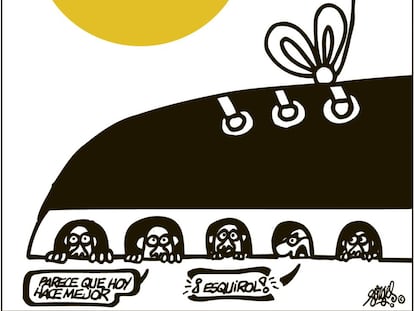 Forges