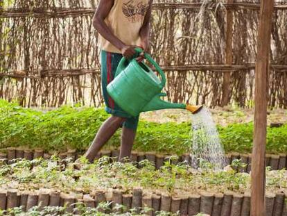 En dos décadas, un tercio del planeta ha accedido a agua potable