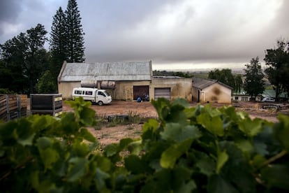 Johanna y otros temporeros llegan al viñedo donde recogeran uvas ese día. Esperan en la camioneta mientras esperan que el patrón llegue.