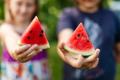 ¿Qué hago si mi hijo o hija no quiere consumir animales? A esta pregunta –y muchas más– dan respuesta Julio Basulto, María Manera, María Blanquer y Pepe Serrano en 'Alimentación vegetariana en la infancia'.