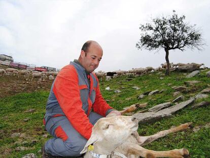 Antonio Punzano, ganadero con una explotación de cabras y ovejas en la Sierra de Segura de Jaén.