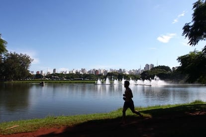 Movimenta&ccedil;&atilde;o no Parque do Ibirapuera, em S&atilde;o Paulo.