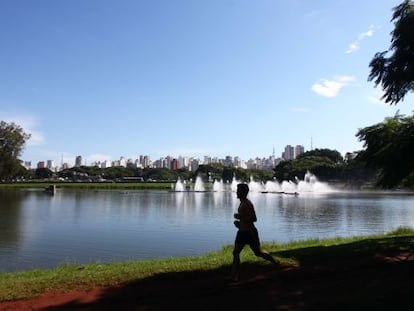 Movimenta&ccedil;&atilde;o no Parque do Ibirapuera, em S&atilde;o Paulo.