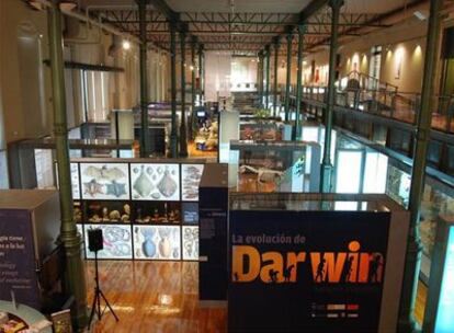 Vista general de la exposición sobre el científico Charles Darwin en el Museo Nacional de Ciencias Naturales del CSIC.