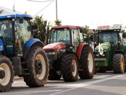 Ahorro fiscal: cosas que debe hacer un autónomo antes de fin de año