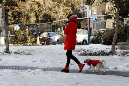 Una mujer pasea este domingo con su perro en una calle del centro de Madrid.