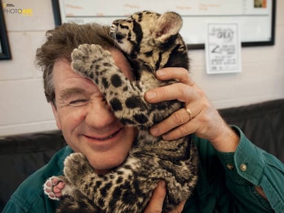 Una cría de pantera nebulosa se agarra a la cabeza de Joel Sartore en el Columbus Zoo and Aquarium (Ohio, Estados Unidos).