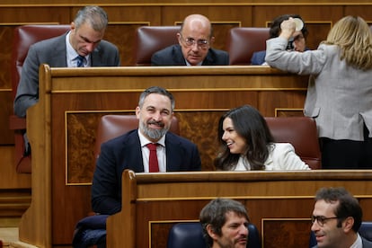 El líder de Vox, Santiago Abasca, y la portavoz, Pepa Millán, durante la sesión de control al Gobierno en diciembre.