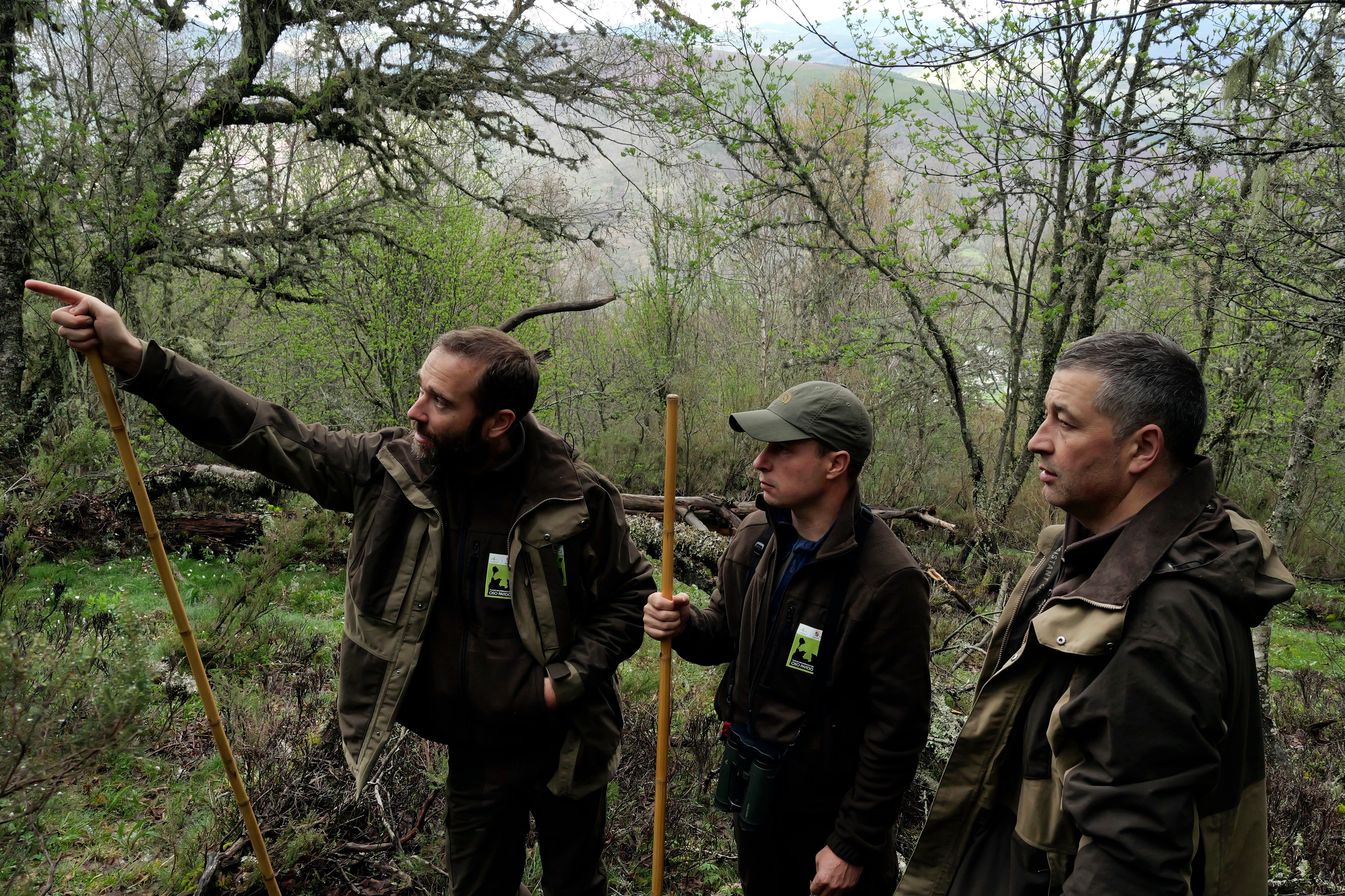 Daniel Pinto, Ignacio Carro y Óscar Álvarez, miembros de la patrulla de seguimiento del urogallo de la Fundación Patrimonio Natural de la Junta de Castilla y León, en el Alto Sil.