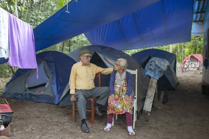 Os três casais se ancoram na força dos avós, Nancy e Onélio Prado. De origem caiçara, os dois moraram praticamente a vida toda naquela região que o Estado considera a área de mata atlântica mais preservada do mundo. Deixaram o lugar por menos de uma década, quando foram morar no sítio Brasília, já fora da estação ecológica, por conta da pressão de grileiros e jagunços na década de 1960. Estudos do arqueólogo Plácido Cali apontam que existem documentos que comprovam a presença da família Prado na região desde o século XVIII. O Estado diz que não discute que esta comunidade caiçara viveu ali nem questiona que os três jovens sejam caiçaras, mas argumenta que desde os anos 1980 não há uma comunidade vivendo na região.