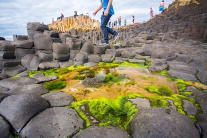 Si damos crédito a una leyenda irlandesa, la Calzada del Gigante surgió cuando luchaban dos colosos, uno de Irlanda y otro de Escocia. Bastante más sobria es la explicación que ofrecen los geólogos sobre la formación de estas 40.000 uniformes columnas de basalto: un proceso de enfriamiento especialmente lento transformó la lava, hace 60 millones de años, en piedras geométricas. Sea como sea, este dique de la costa norirlandesa, a unos 100 kilómetros al norte de ireland.com