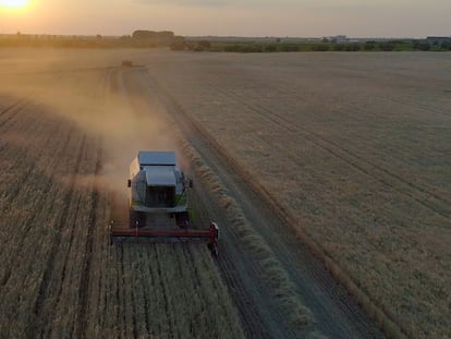 Europa va a pasar de locomotora a furgón de cola si se dedica a poner palos a las ruedas a la investigación en agricultura.