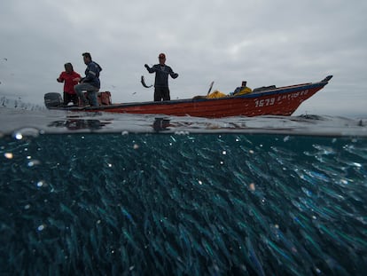 Pescadores en Pisagua (Chile), en 2017.