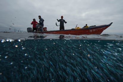 Pescadores en Pisagua, Chile