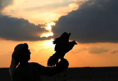 TOPSHOT - An Emirati falconer releases a hunting falcon at Al-Marzoom Hunting reserve, 150kms west of Abu Dhabi in the United Arab Emirates on February 2, 2016. / AFP / KARIM SAHIB