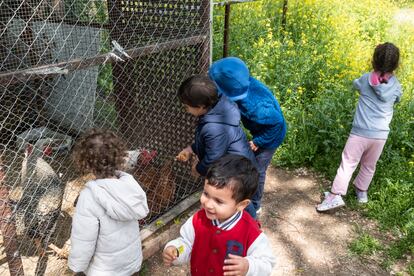 Los niños de las familias que han solicitado asilo juegan y dan de comer a las gallinas que hay en el Hotel Complejo La Cigüeña, en Arganda del Rey.