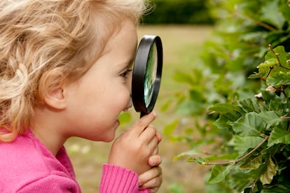 Qué aprenden los niños con las plantas