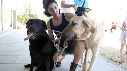 Una voluntaria con dos perros abandonados en el Centro Integral de Acogida de Animales.