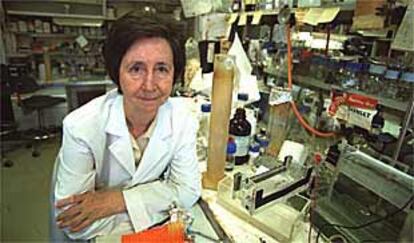 Margarita Salas, en el centro de Biología Molecular Severo Ochoa, que dirige, en la Universidad Autónoma de Madrid.