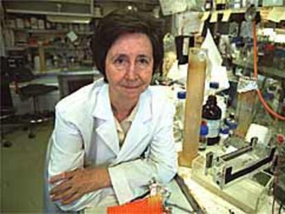 Margarita Salas, en el centro de Biología Molecular Severo Ochoa, que dirige, en la Universidad Autónoma de Madrid.